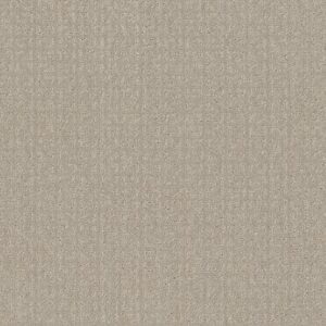 TRANSFORM by Shaw Floors - Oatmeal