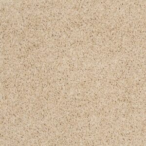 GRAND IMAGE II by Shaw Floors - Mesa
