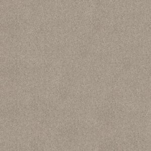 SWEET INSPIRATION I by Shaw Floors - Catnip