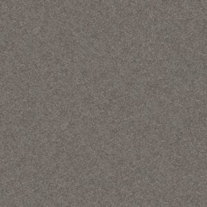 GO AFTER IT 3 by Shaw Floors - Dockside