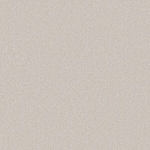 YOU GOT THIS III by Shaw Floors - Whitecap