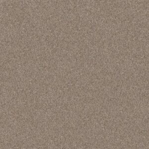 YES YOU CAN II 12' by Shaw Floors - Subtle Clay