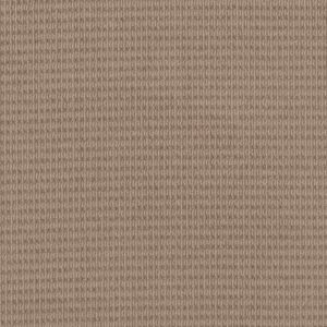 CHIC ELEVATION by Shaw Floors - Beige Bisque