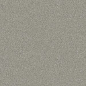 YOU GOT THIS II by Shaw Floors - Frosted Leaf