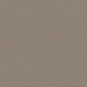 SMOOTH TALK II by Shaw Floors - Anew Grey