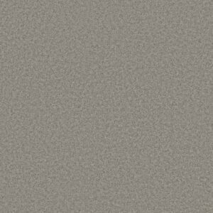 HARMONIOUS I by Shaw Floors - Grey Fox