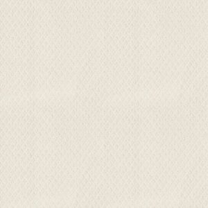 FORMALIZE by Shaw Floors - Serene Still