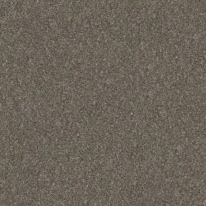 WITHOUT LIMITS III by Shaw Floors - Travatan