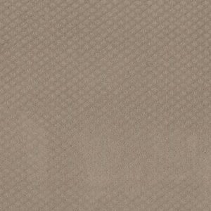 FORMALIZE by Shaw Floors - Desert View