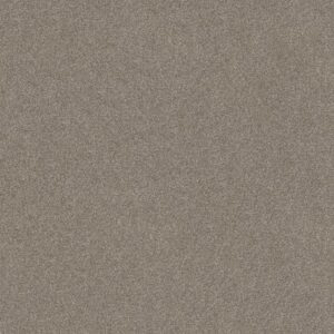 MOMENT OF TRUTH by Shaw Floors - Cocoa