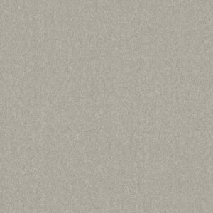 MOMENT OF TRUTH by Shaw Floors - Catnip