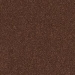 HARD AT PLAY II 12' by Shaw Floors - Orange Oxide