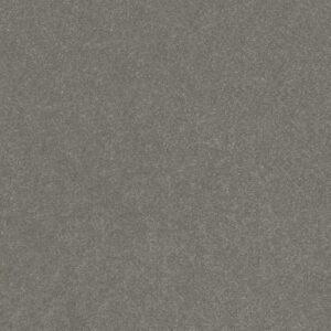 HARD AT PLAY II 12' by Shaw Floors - Shy Sage