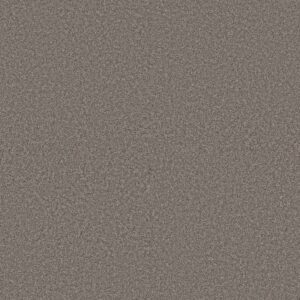 ARTISTIC FUSION I by Shaw Floors - Midnight Brown