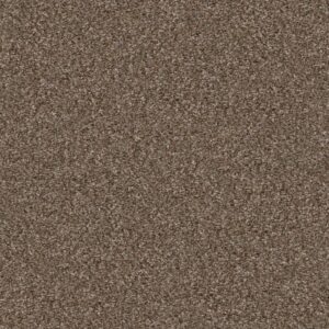 YES YOU CAN II 12' by Shaw Floors - Worn Path