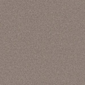 ARTISTIC FUSION I by Shaw Floors - Moonwalk