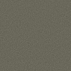 PARLAY by Shaw Floors - Charcoal