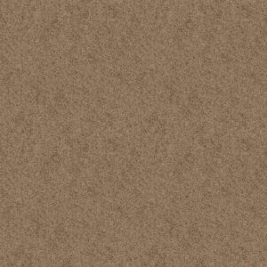 EXPECT MORE (S) by Shaw Floors - Vintage Tan