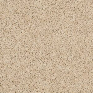 FUSION VALUE 300 by Shaw Floors - Sand Dollar