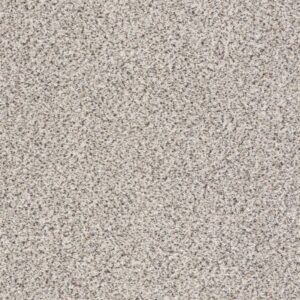 FIND YOUR COMFORT TA II by Shaw Floors - Lost Passport (