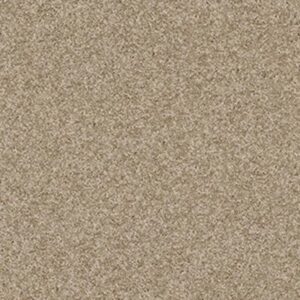 MY CHOICE I by Shaw Floors - Cappuccino