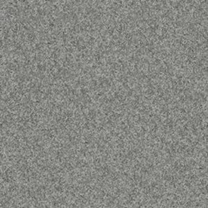 MY CHOICE I by Shaw Floors - Charcoal