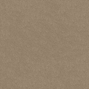SWEET LIFE by Shaw Floors - Havana