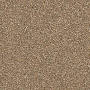 MAJORITY RULES by Shaw Floors - Bridgewater Tan