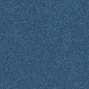ALL STAR WEEKEND III 12' by Shaw Floors - Indigo
