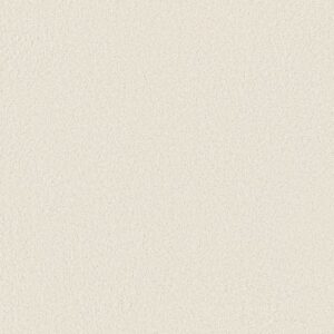 CASHMERE CLASSIC III by Shaw Floors - Crisp