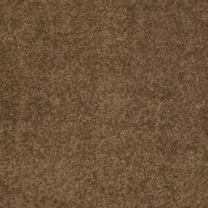 CASHMERE CLASSIC II by Shaw Floors - Tobacco Leaf