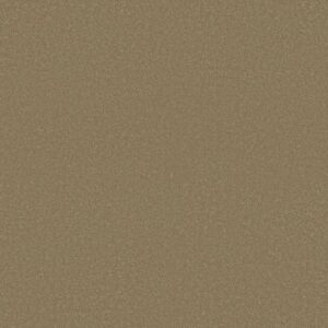 SHINGLE CREEK IV 15' by Shaw Floors - Sahara