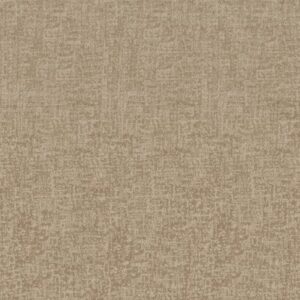 FINE STRUCTURE by Shaw Floors - Natural Beauty