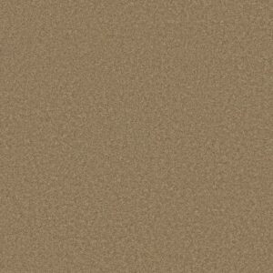 MY CHOICE III by Shaw Floors - Twig