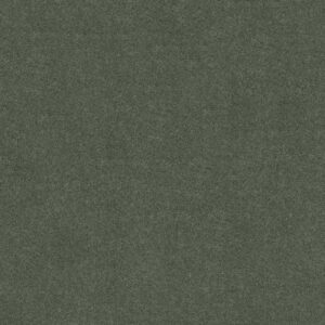 MY CHOICE III by Shaw Floors - Bay Laurel