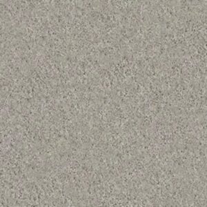 MY CHOICE II by Shaw Floors - Textured Canvas