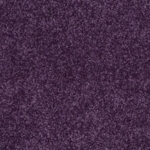 KIDS RULE by Shaw Floors - Grape Jelly