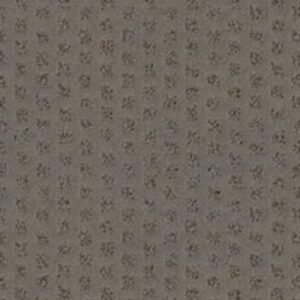 MY EXPRESSION by Shaw Floors - Essex