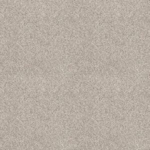 DELICATE DISTINCTION CLASSIC III by Shaw Floors - Valley
