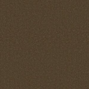 CASHMERE I by Shaw Floors - Bison