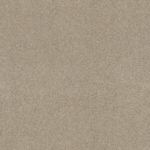 ACROSS THE BAY by Shaw Floors - Dhurrie
