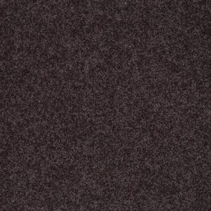INSPIRED BY II by Shaw Floors - Urban Loft