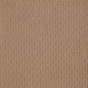 SPACE LINE by Shaw Floors - Buckaroo