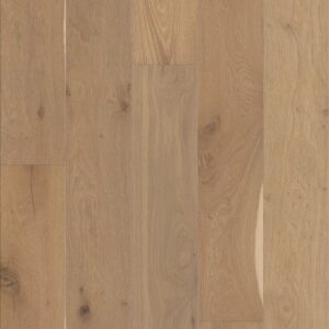 Expressions by Shaw Floors - Alla Prima