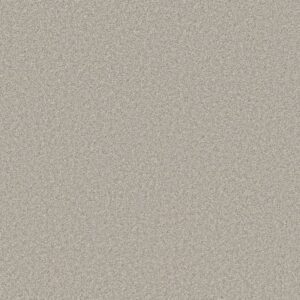 JUST A HINT II by Shaw Floors - Platinum