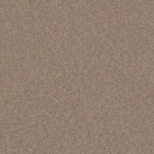 TIMELESS APPEAL I 12' by Shaw Floors - Soft Shadow