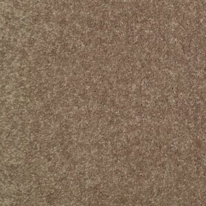 KNOCKOUT II 15' by Shaw Floors - Sequoia