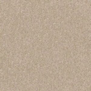 NEWBERN CLASSIC 15' by Shaw Floors - Dusty Trail