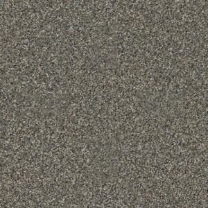 ALL OVER IT II by Shaw Floors - Granite Dust