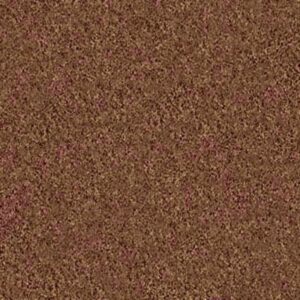 STEP RIGHT UP II 15' by Shaw Floors - Pottery